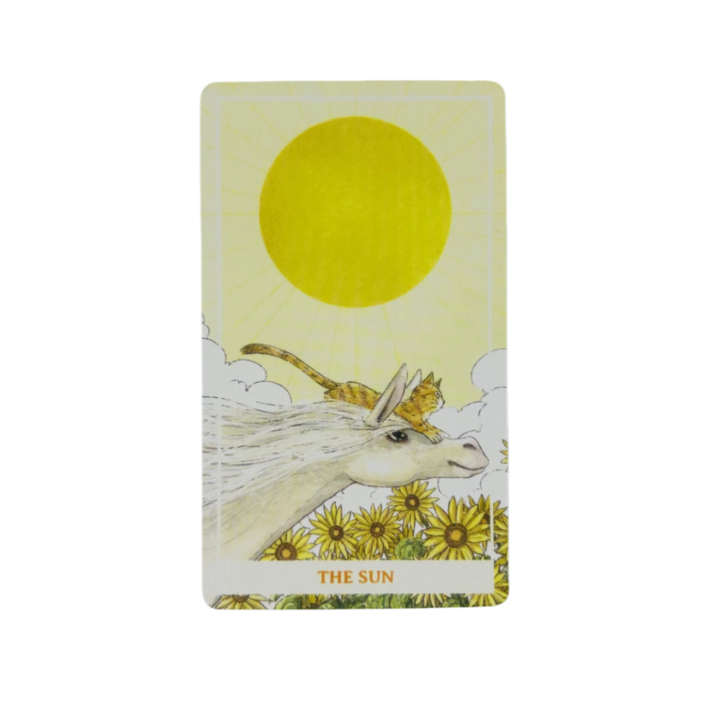 Sunny Orange Cat Tarotkaarten  - Party Games Best recensie en prijs